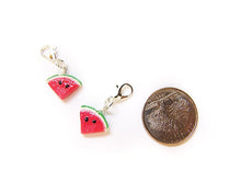 Load image into Gallery viewer, Watermelon Charm - Sucre Sucre Miniatures